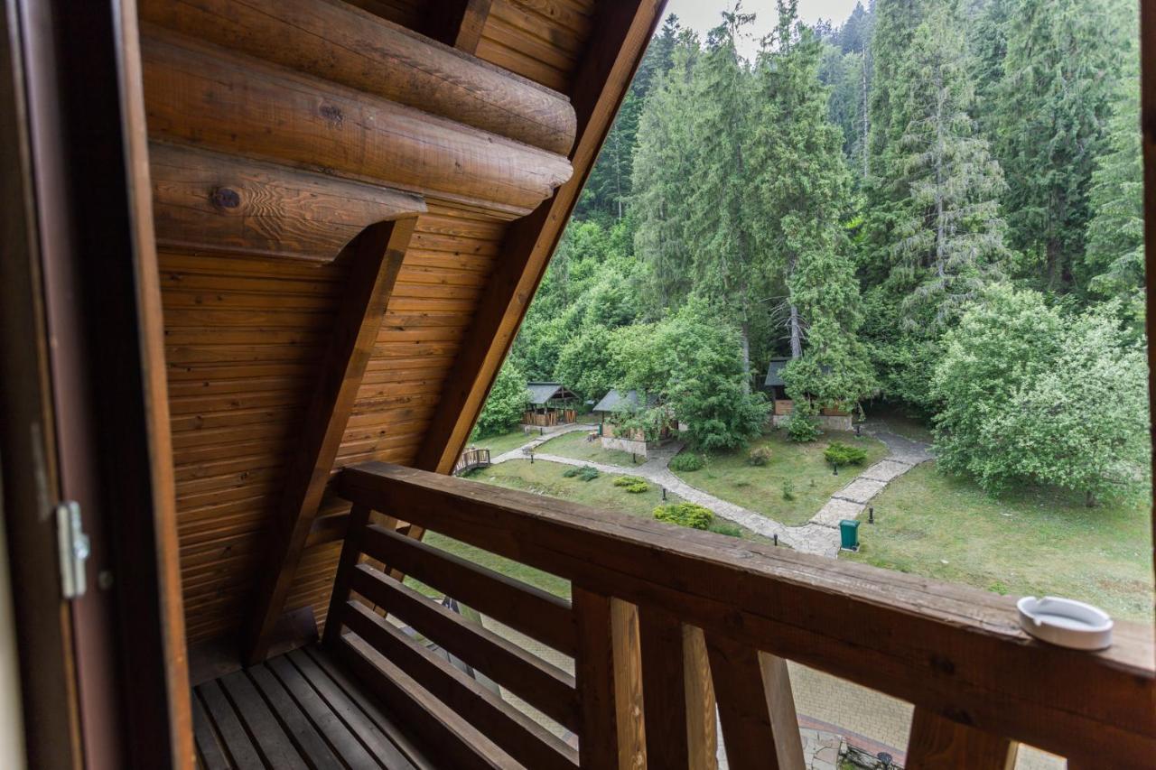 Hotel Tsarynka Eco Complex à Slavsko Extérieur photo